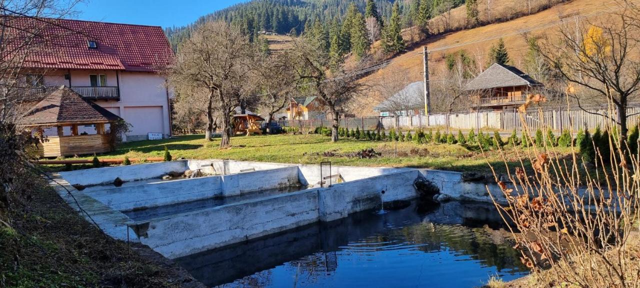 Villa Ileana Чахлэу Экстерьер фото