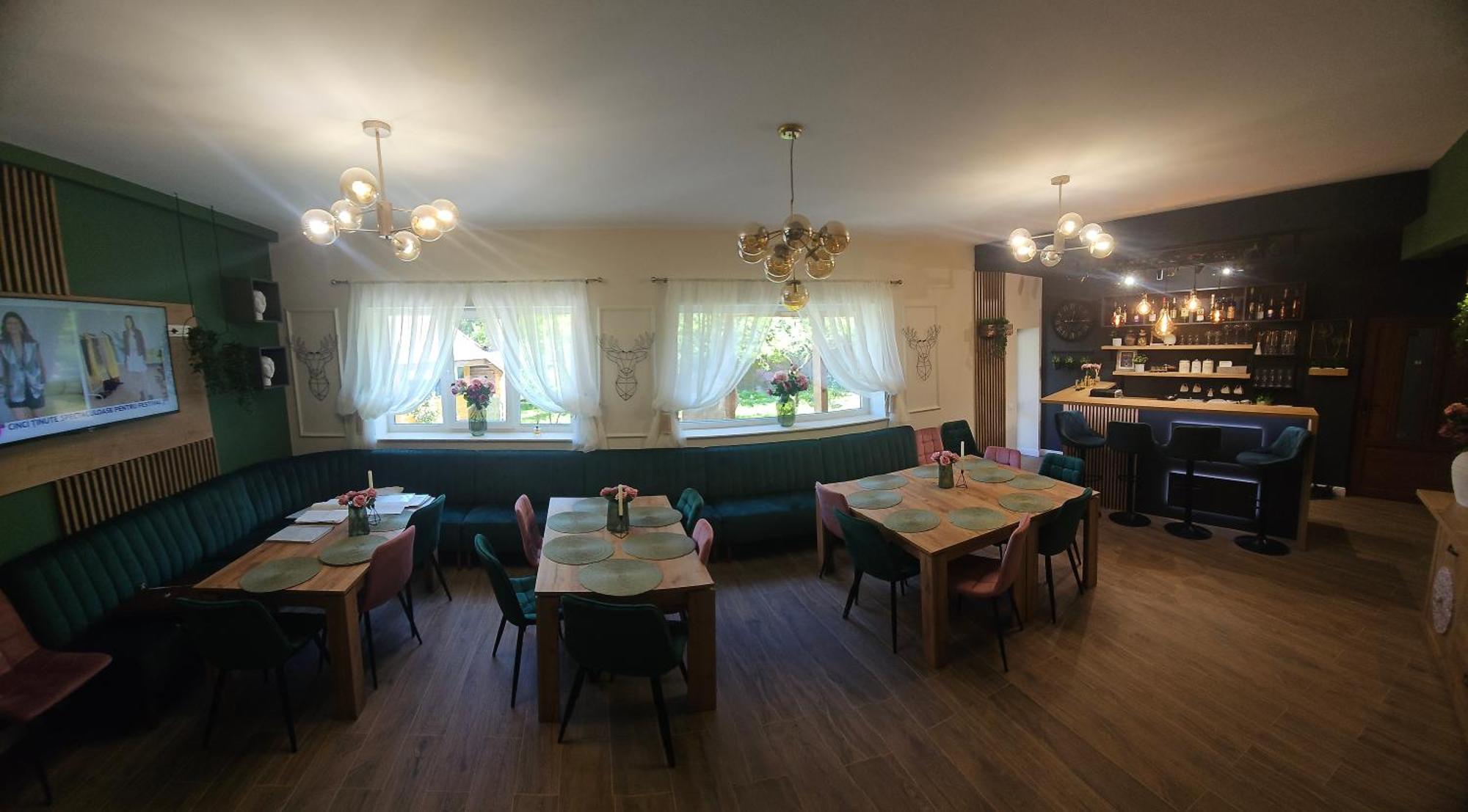 Villa Ileana Чахлэу Экстерьер фото