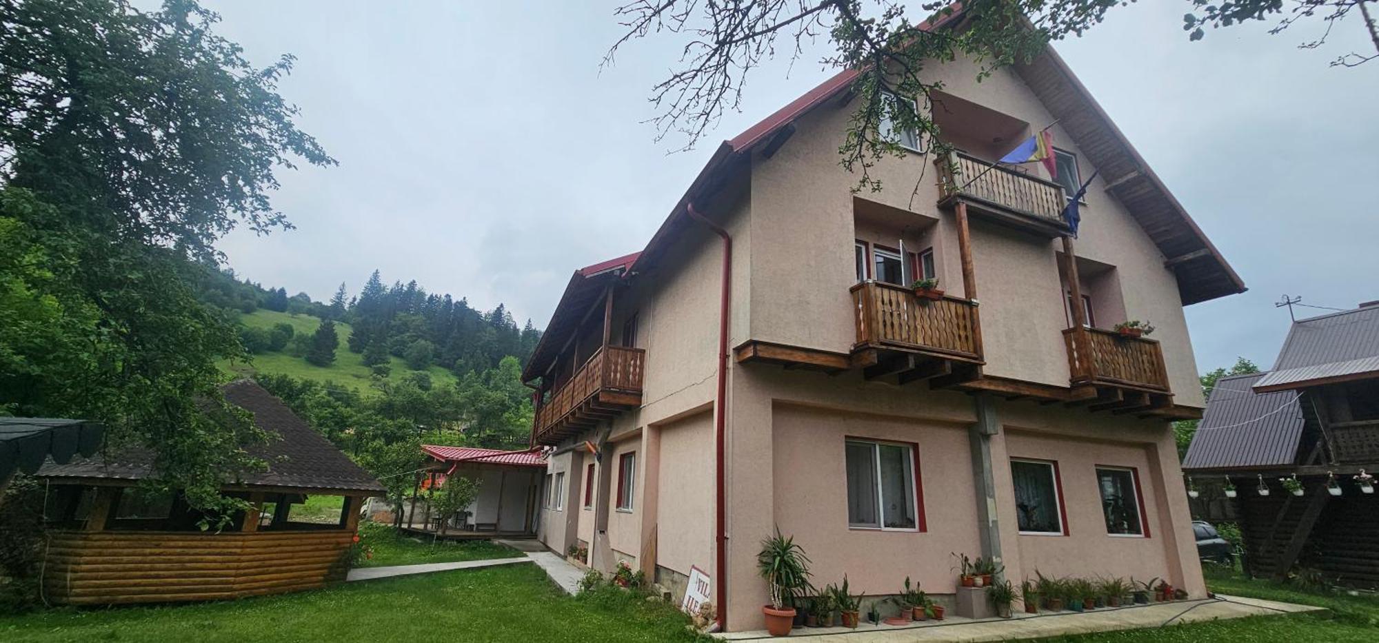 Villa Ileana Чахлэу Экстерьер фото