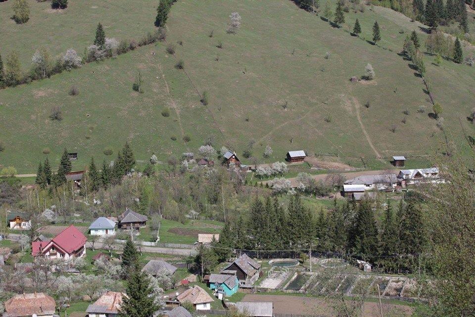 Villa Ileana Чахлэу Экстерьер фото