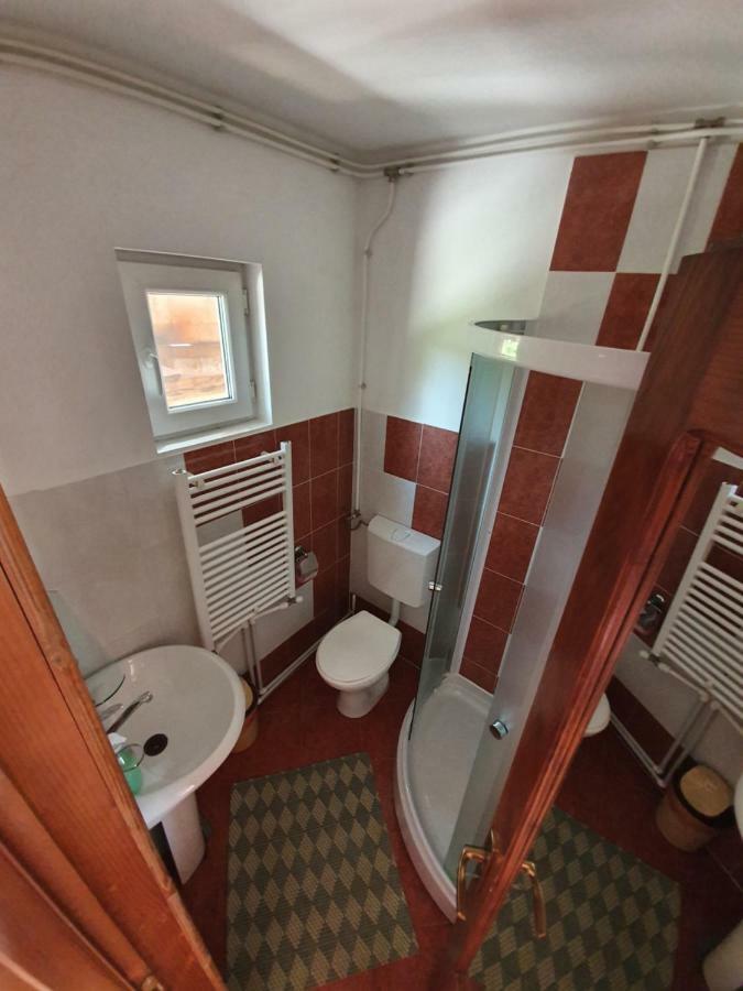 Villa Ileana Чахлэу Экстерьер фото
